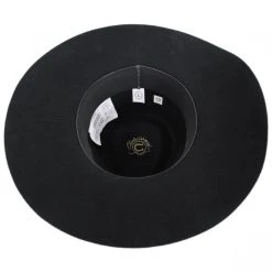 CHARLIE 1 HORSE Highway Wide Brim Wool Felt Fedora Hat -Brixton Hats shop 387282