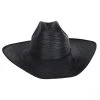 Bailey Vaquero 10X Palm Straw Western Hat -Brixton Hats shop 403215