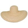Tommy Bahama Aklea Raffia Straw Swinger Sun Hat -Brixton Hats shop 431946