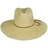 Stetson The Gatherer Wide Brim Palm Straw Fedora Hat -Brixton Hats shop 439148