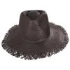 Brixton Hats Jo Toyo Straw Frayed Fedora Hat - Dark Brown